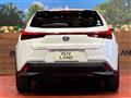 2019 Lexus Other