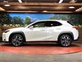 2019 Lexus Other