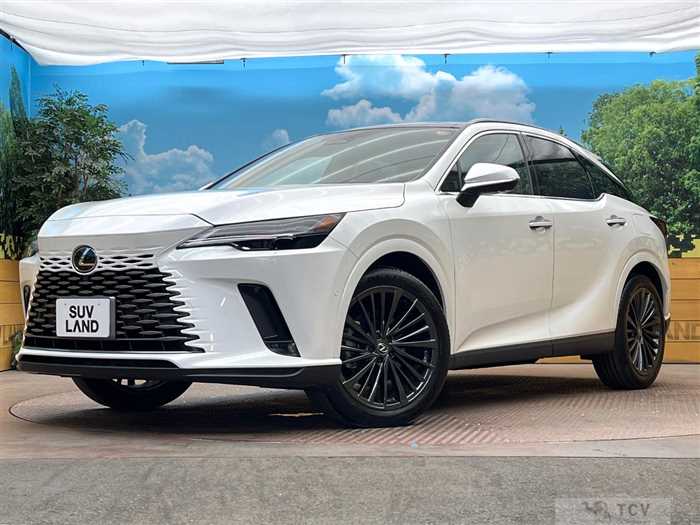 2024 Lexus RX