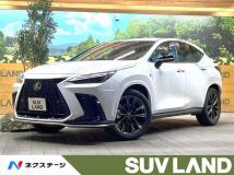 2023 Lexus NX