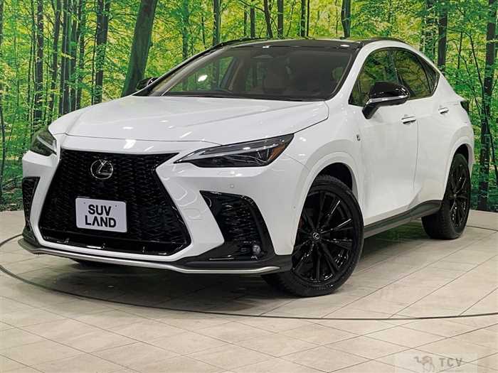 2024 Lexus NX