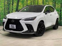 2024 Lexus NX