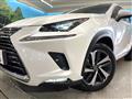 2019 Lexus NX