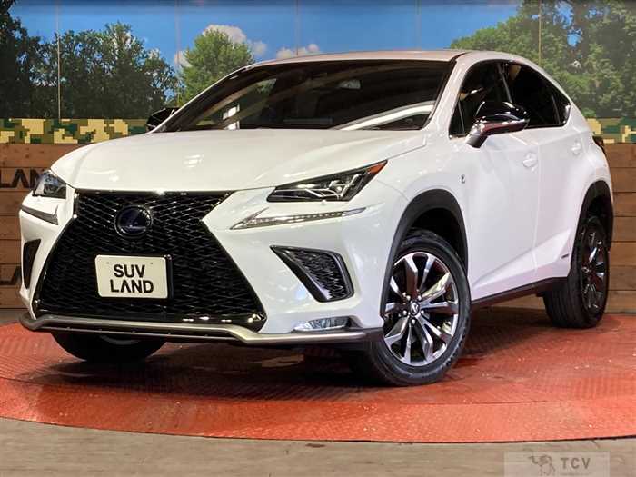 2018 Lexus NX