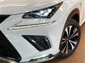 2019 Lexus NX