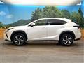 2020 Lexus NX
