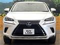 2020 Lexus NX
