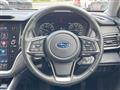 2023 Subaru Subaru Others
