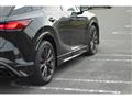 2025 Lexus RX
