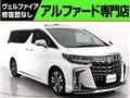 2020 Toyota Alphard G
