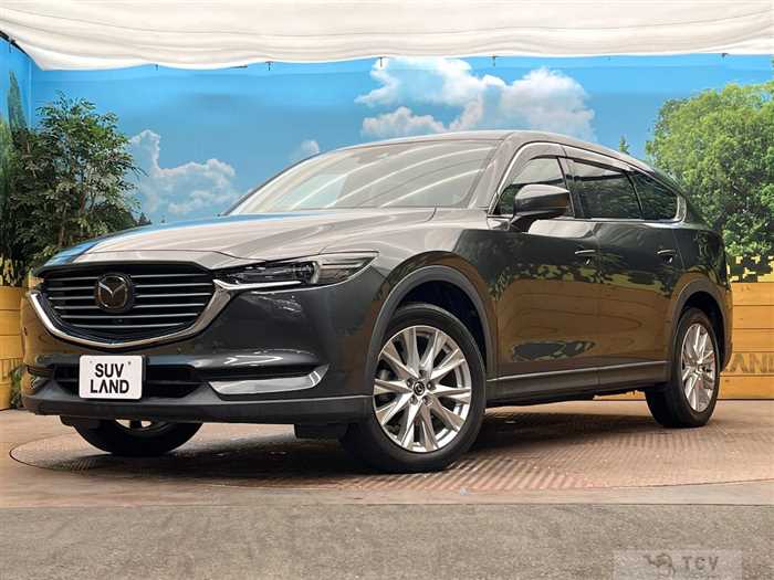 2018 Mazda CX-8