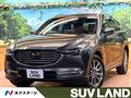 2019 Mazda CX-8