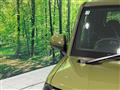 2025 Daihatsu Taft
