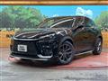 2024 Lexus Other