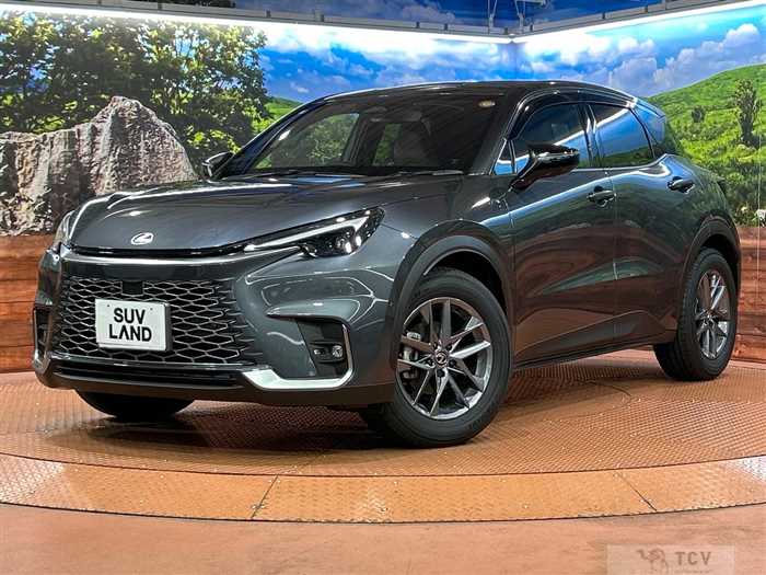 2025 Lexus Other