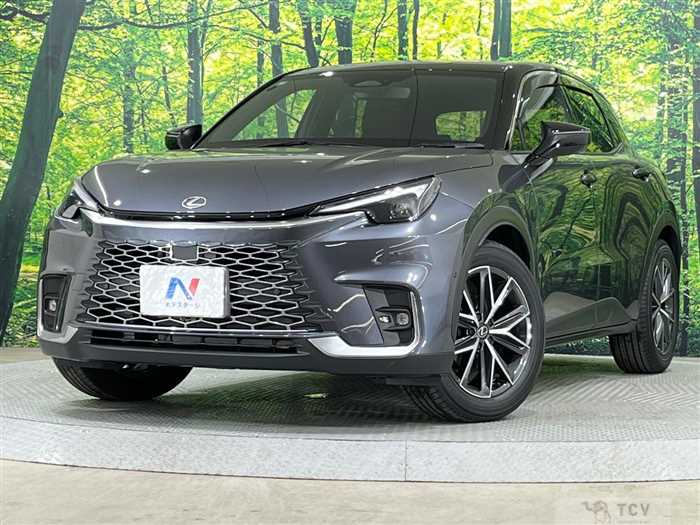 2025 Lexus Other