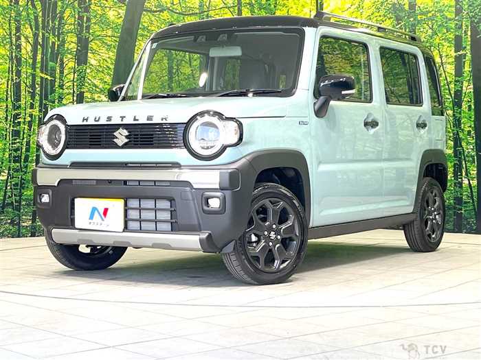 2025 Suzuki Hustler