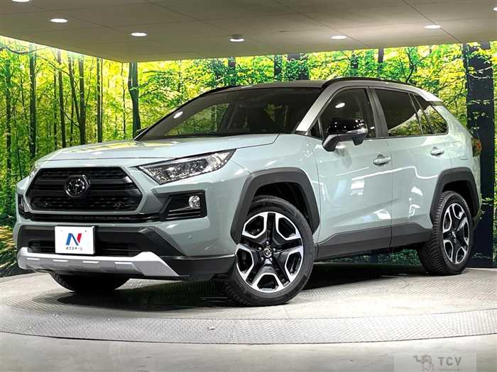 2019 Toyota RAV4