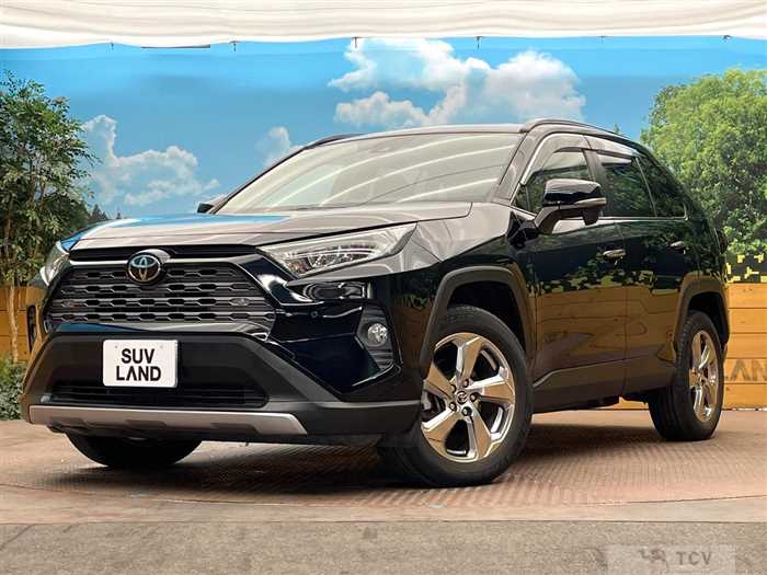 2019 Toyota RAV4