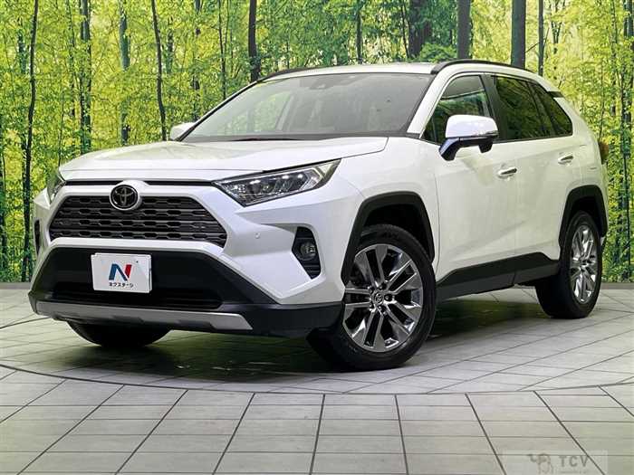 2019 Toyota RAV4