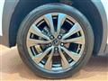 2019 Lexus Other
