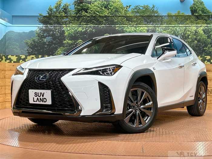 2020 Lexus Other