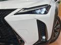 2020 Lexus Other