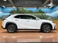 2020 Lexus Other