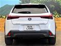 2021 Lexus Other