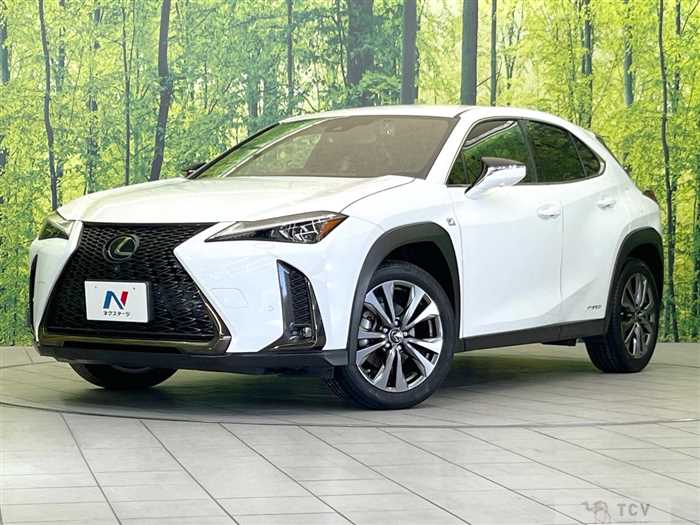 2021 Lexus Other