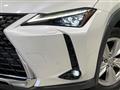 2023 Lexus Other