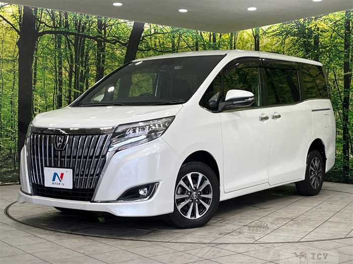 2019 Toyota Esquire