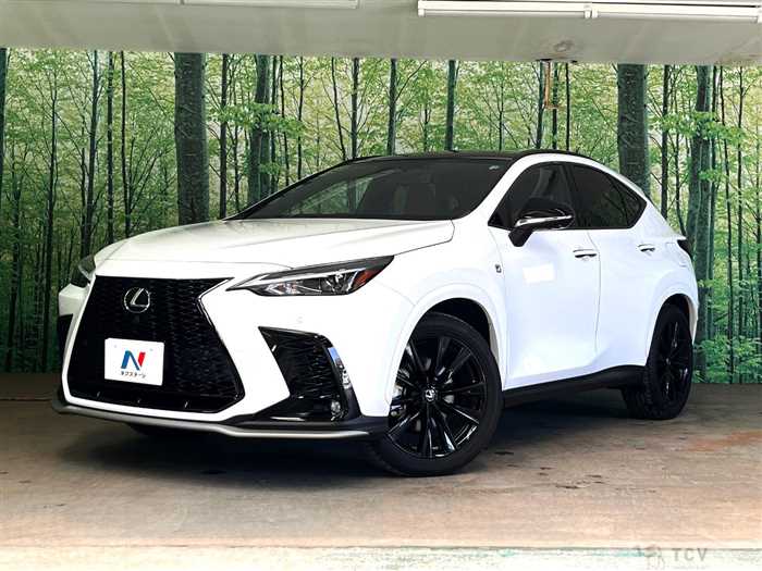 2023 Lexus NX