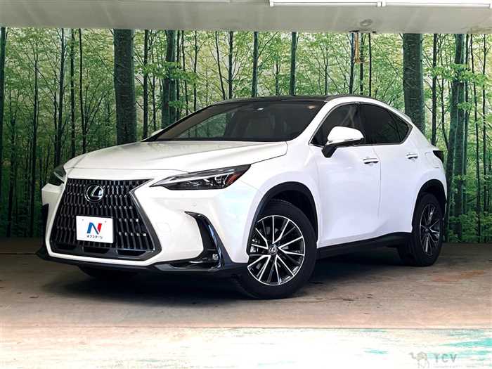 2023 Lexus NX