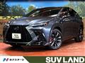 2022 Lexus NX