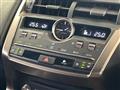2019 Lexus NX