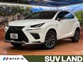 2021 Lexus NX