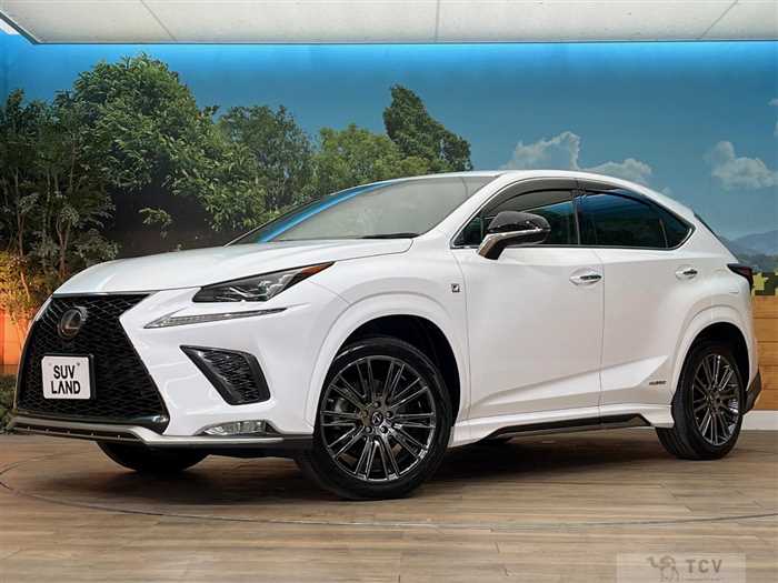 2017 Lexus NX