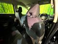 2023 Nissan Note