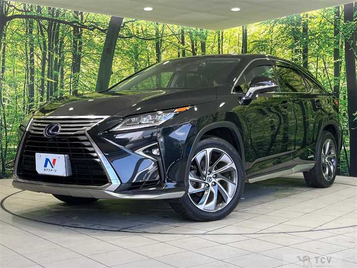 2018 Lexus RX