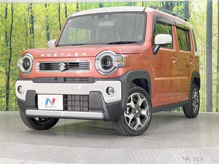 2024 Suzuki Hustler