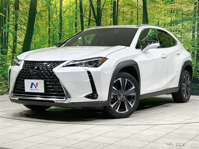 2020 Lexus Other
