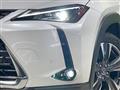 2020 Lexus Other