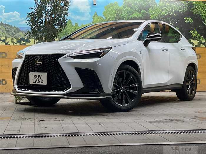 2024 Lexus NX
