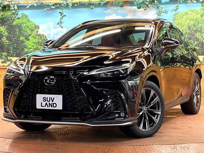 2023 Lexus NX