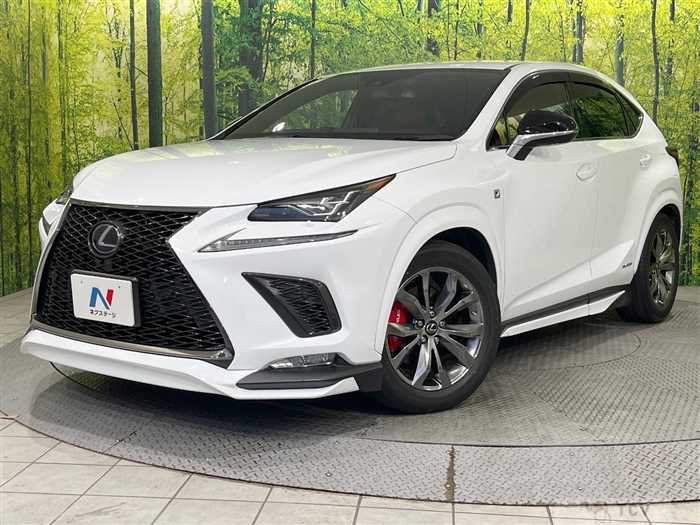 2020 Lexus NX