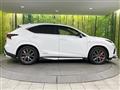 2020 Lexus NX