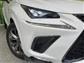 2020 Lexus NX
