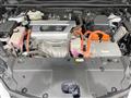 2020 Lexus NX