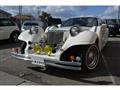 1991 Mitsuoka Le Seyde